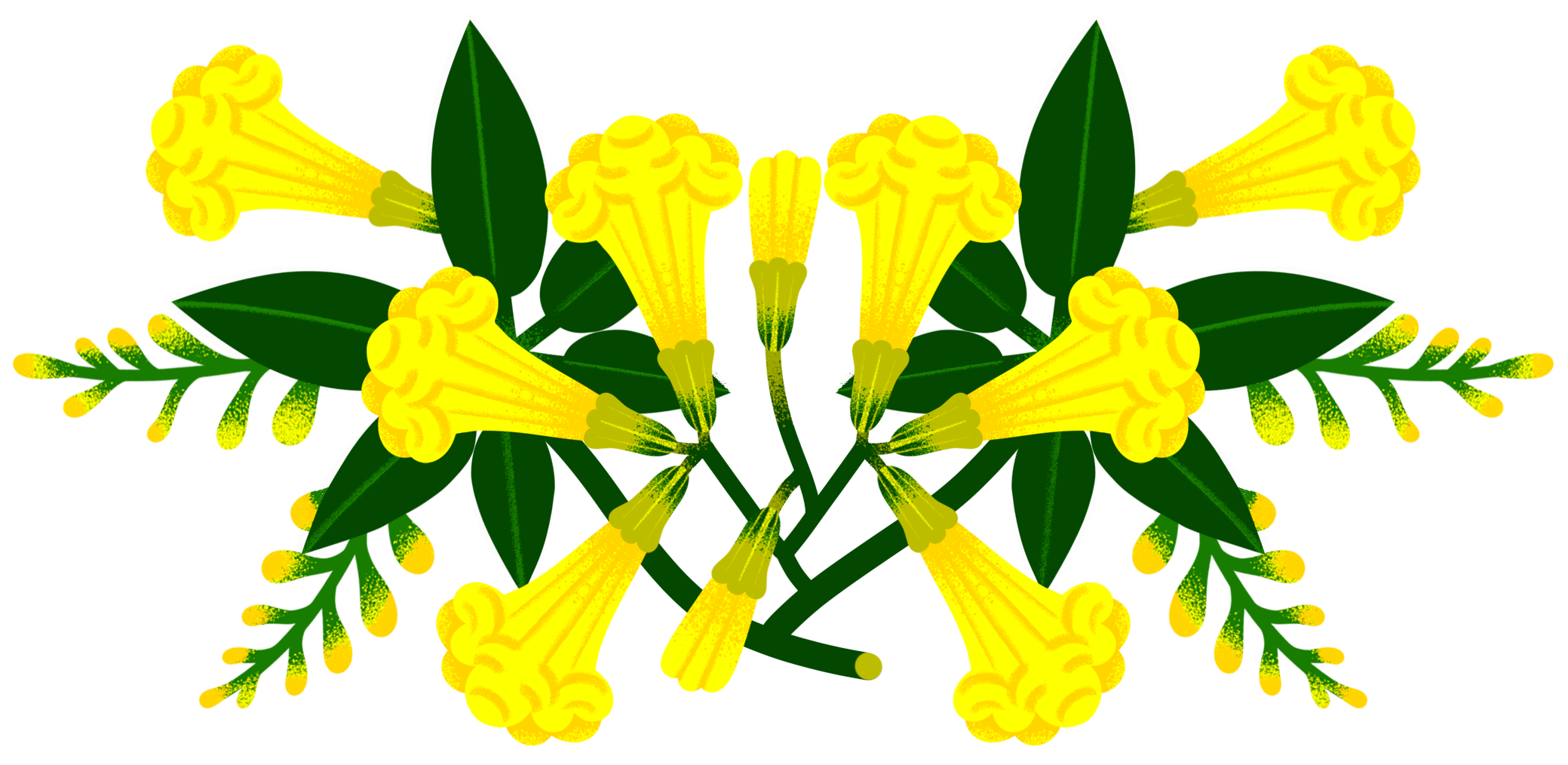 IpeAmarelo_homc