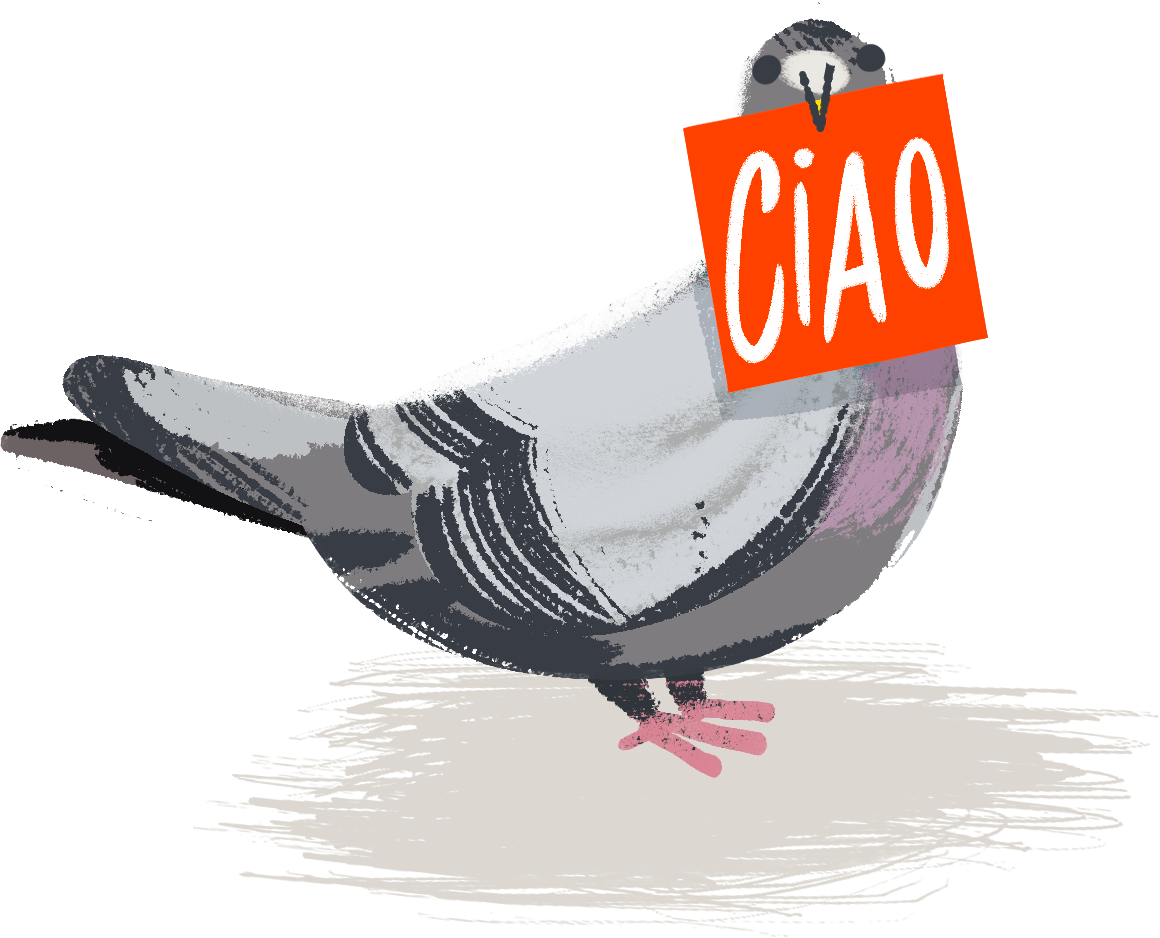 piccione_shop