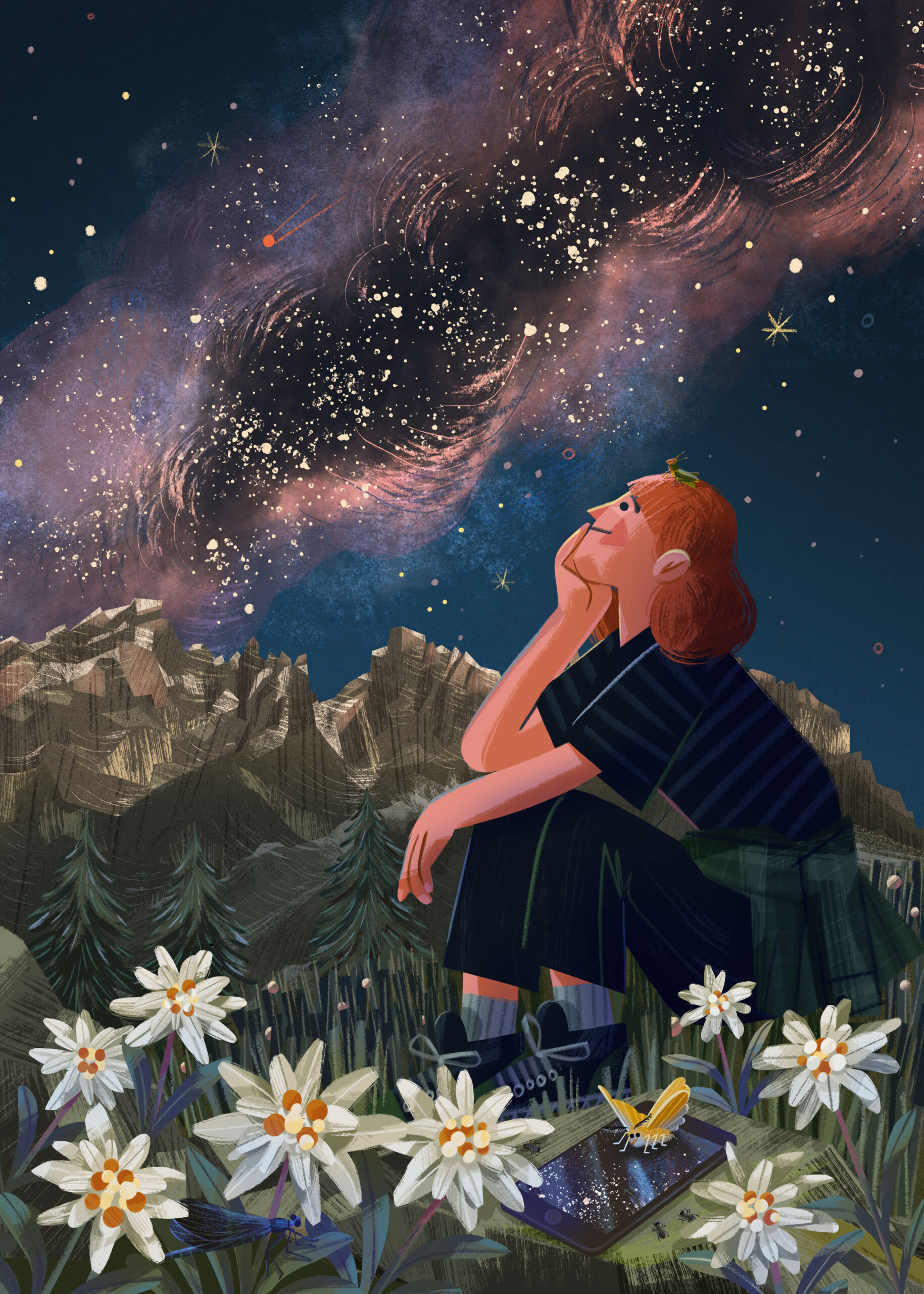 Lapis Festival – A riveder le stelle